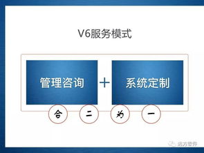 企業管理信息化的新途徑 管理咨詢 系統定制